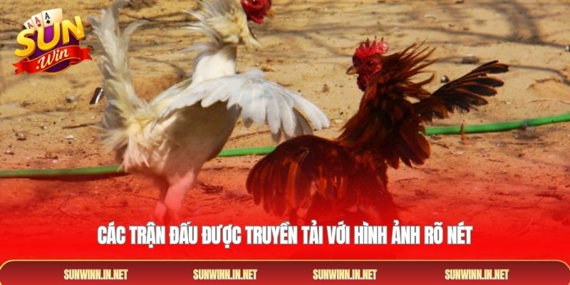 Các trận đấu được truyền tải với hình ảnh rõ nét