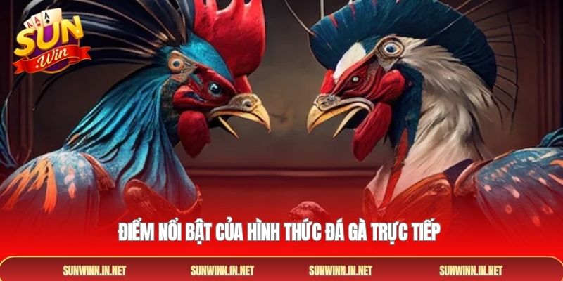 Điểm nổi bật của hình thức đá gà trực tiếp 